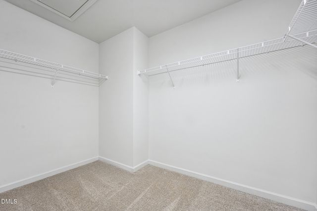 3317 Slippery Elm Drive, Raleigh, NC 27610