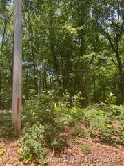 6 Grouse Lane, Woodbridge, CT 06525