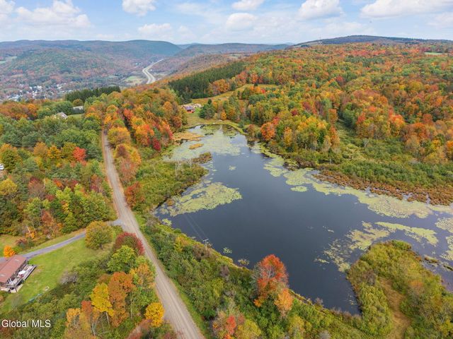 1134 Smith Road, Worcester, NY 12197