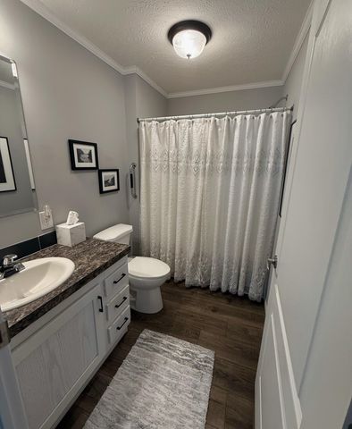 1187 Ironstone Drive, Mount Pleasant, MI 48858