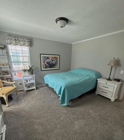 1187 Ironstone Drive, Mount Pleasant, MI 48858