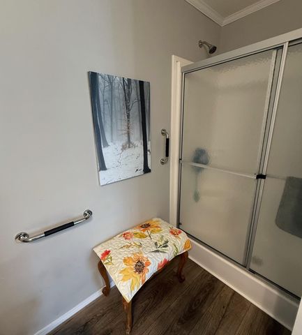 1187 Ironstone Drive, Mount Pleasant, MI 48858