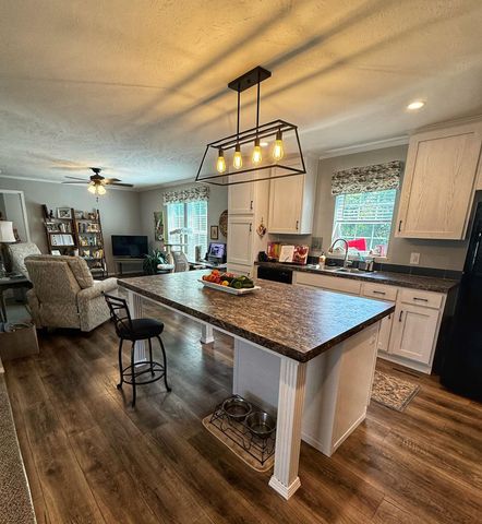 1187 Ironstone Drive, Mount Pleasant, MI 48858