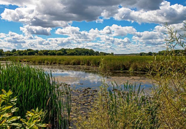 830 Fox Path Court, Medina, MN 55340