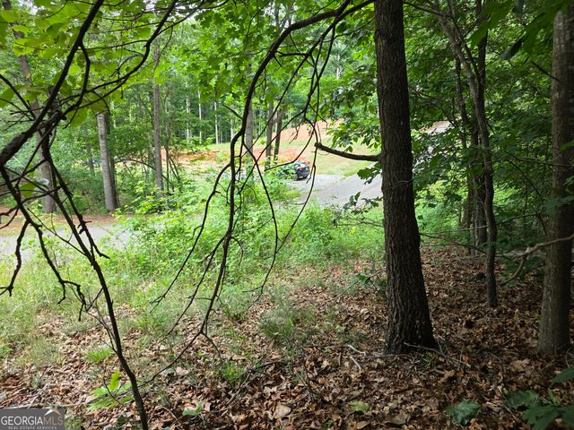 LOT 270 Arrow Lane, Lavonia, GA 30553
