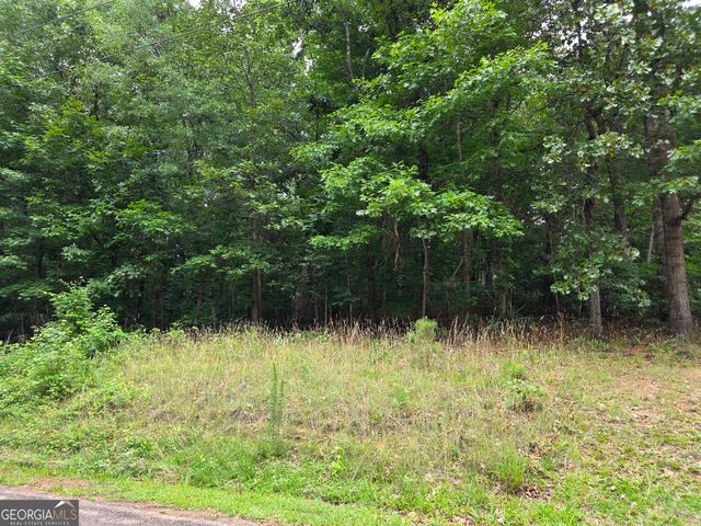 LOT 270 Arrow Lane, Lavonia, GA 30553