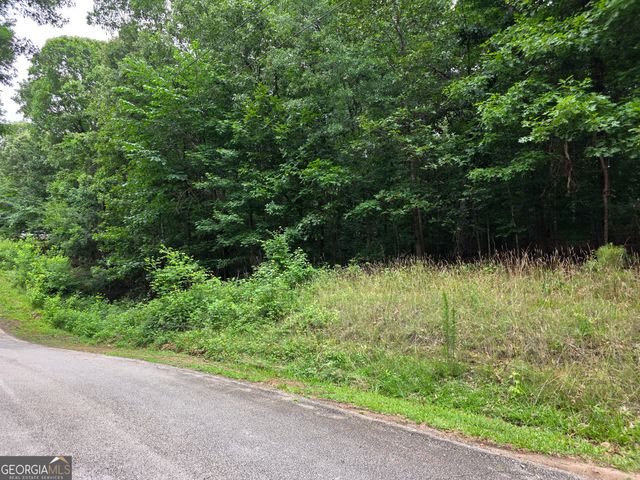 LOT 270 Arrow Lane, Lavonia, GA 30553