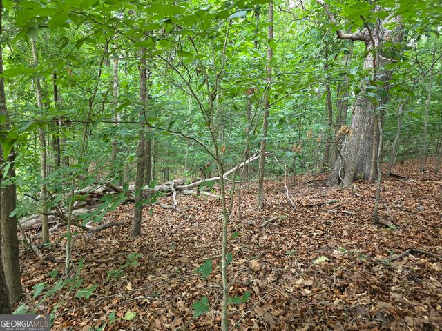LOT 270 Arrow Lane, Lavonia, GA 30553