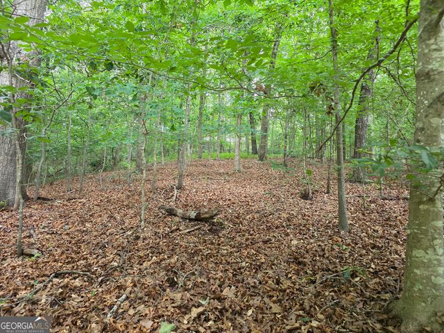 LOT 270 Arrow Lane, Lavonia, GA 30553