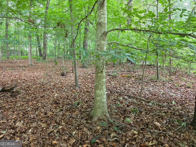 LOT 270 Arrow Lane, Lavonia, GA 30553