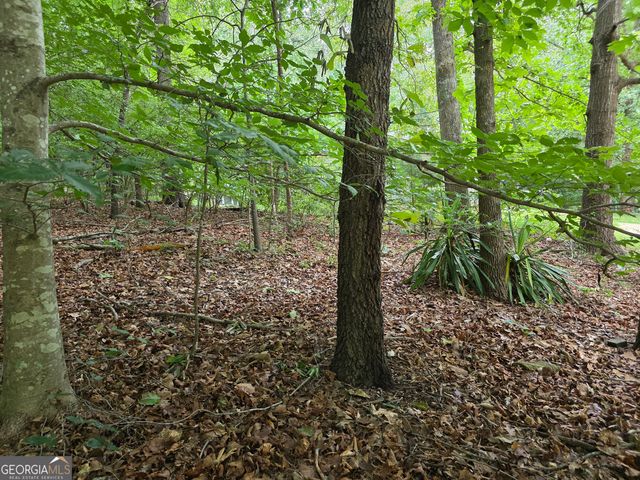 LOT 270 Arrow Lane, Lavonia, GA 30553