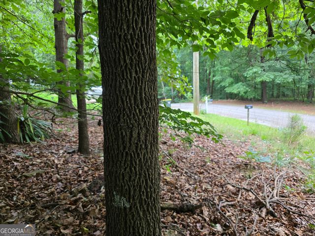 LOT 270 Arrow Lane, Lavonia, GA 30553