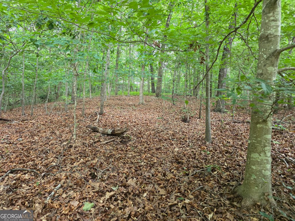 LOT 270 Arrow Lane, Lavonia, GA 30553
