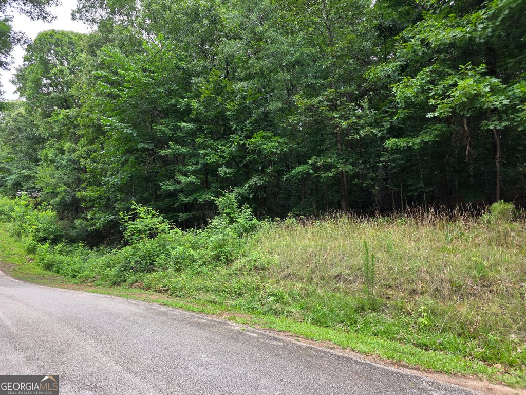 LOT 270 Arrow Lane, Lavonia, GA 30553 — photo 3