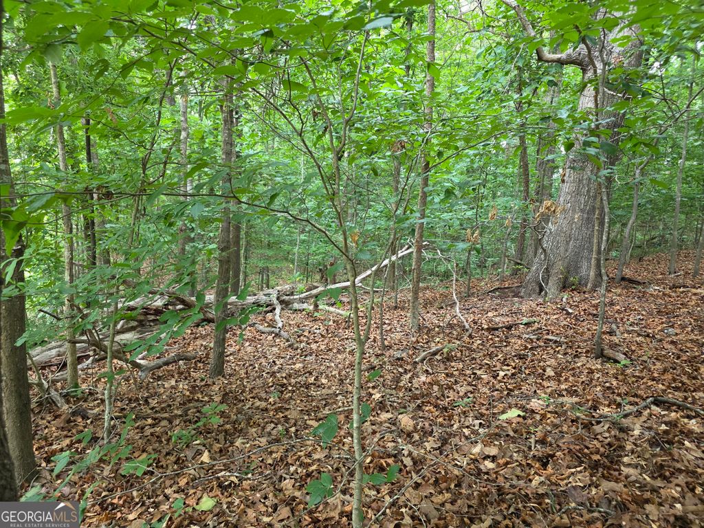 LOT 270 Arrow Lane, Lavonia, GA 30553 — photo 4