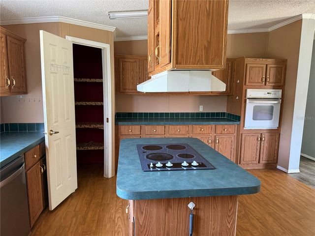 11090 SE 165TH TERRACE ROAD, Ocklawaha, FL 32179