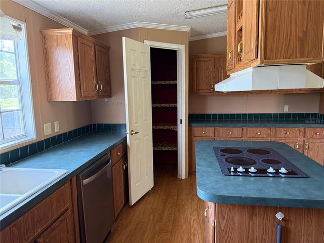 11090 SE 165TH TERRACE ROAD, Ocklawaha, FL 32179