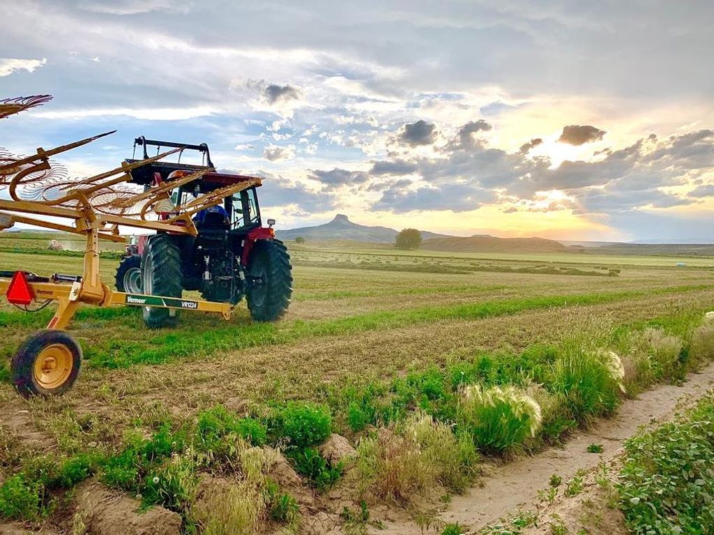 TBD Road 19 1/2, Cody, WY 82414