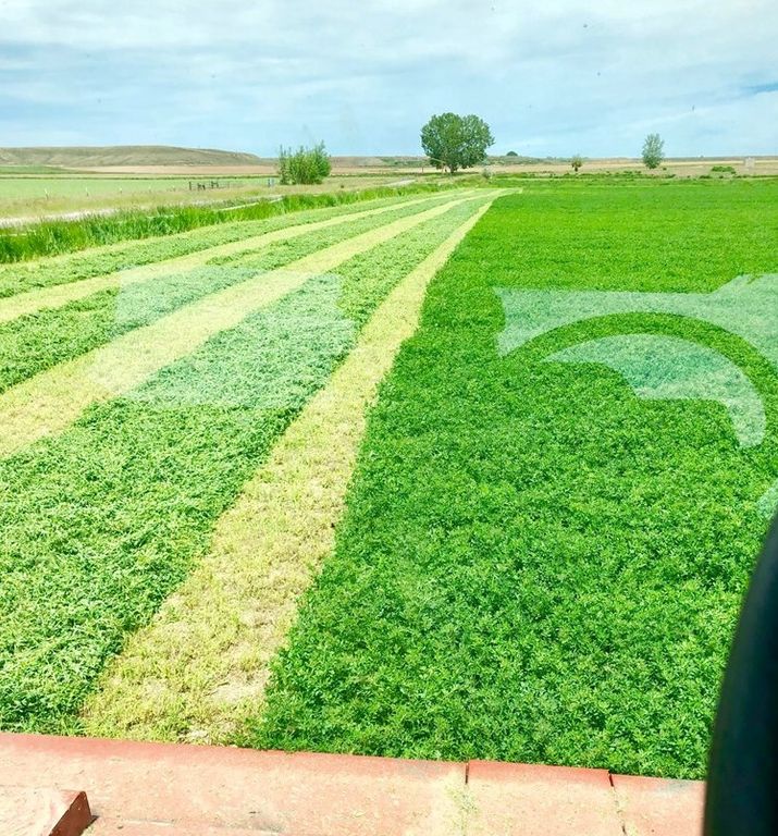 TBD Road 19 1/2, Cody, WY 82414 photo 3