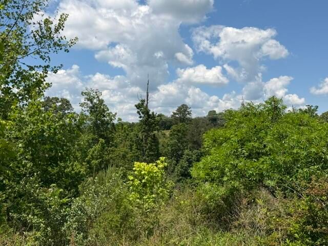 2136+2124 Short Leaf Lane, Soddy Daisy, TN 37379