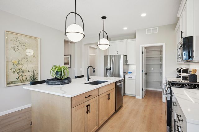 14732 Kingsview Court N, Dayton, MN 55327