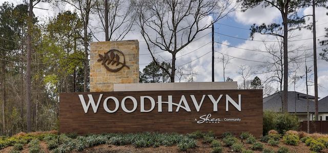 27024 Westmont Field Drive, Magnolia, TX 77354