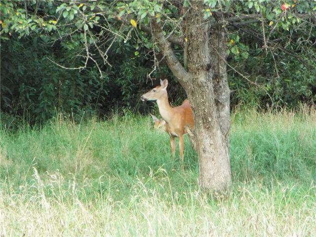 25 Linton Alley, East Bethlehem, PA 15333