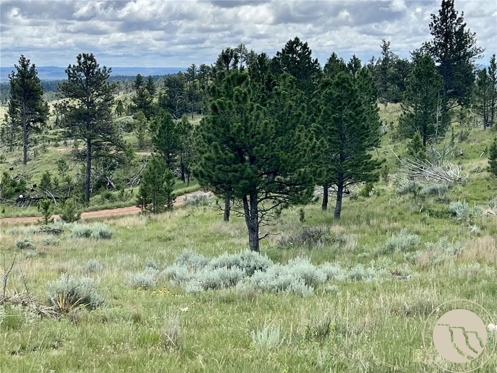 NHN Hillside Dr, Miles City, MT 59301 photo 10