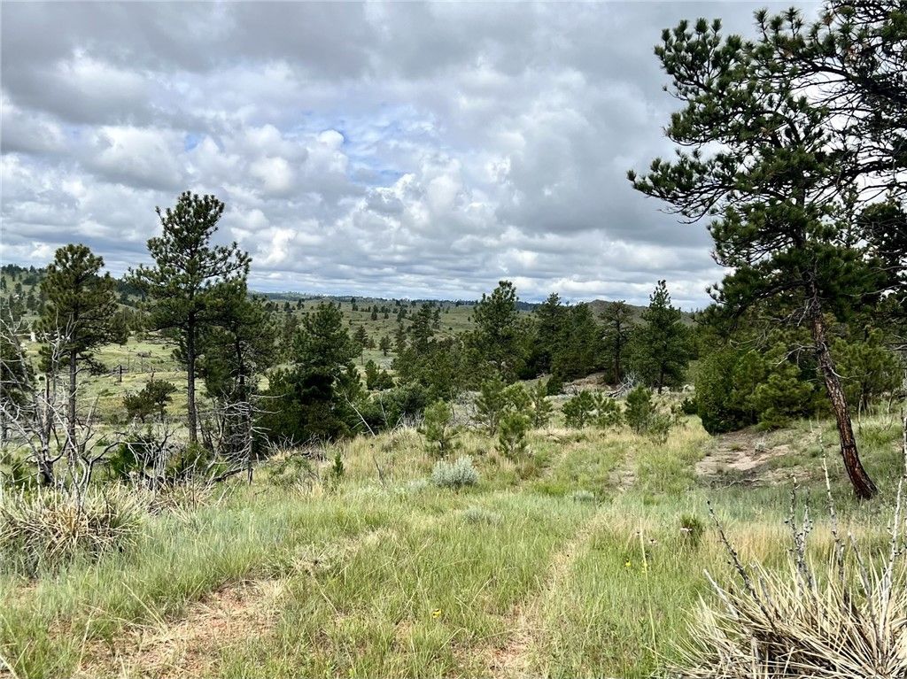 NHN Hillside Dr, Miles City, MT 59301 photo 2