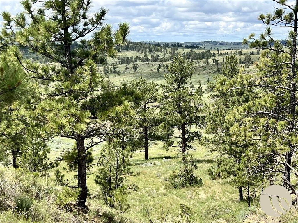 NHN Hillside Dr, Miles City, MT 59301 photo 21