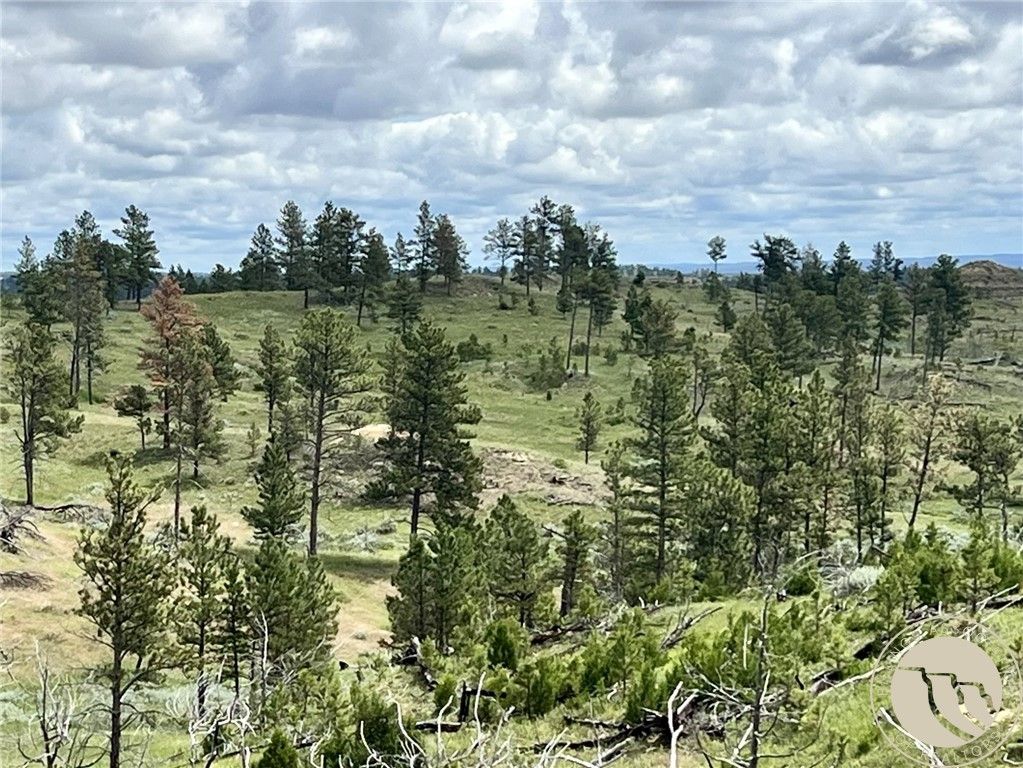 NHN Hillside Dr, Miles City, MT 59301 photo 6