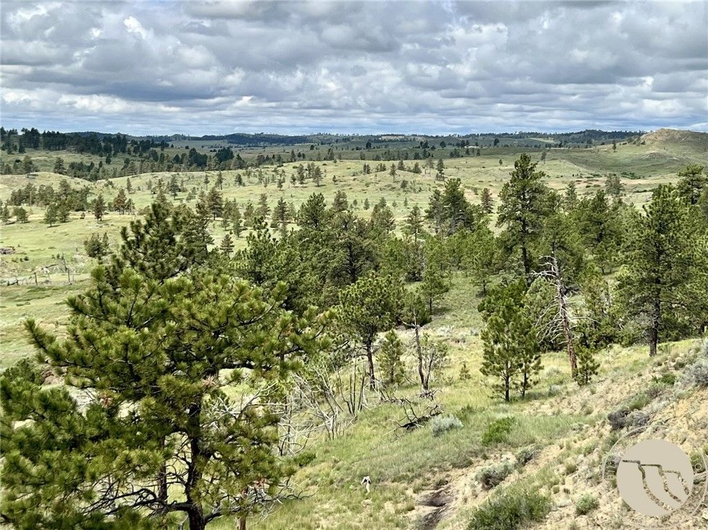 NHN Hillside Dr, Miles City, MT 59301 photo 9