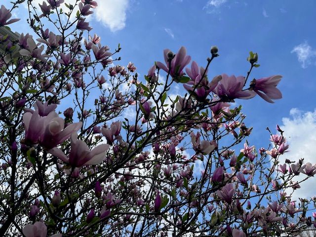 1978 Spring Ridge Drive, Beavercreek, OH 45385