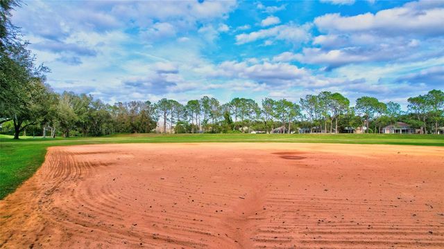 17740 ESPRIT DRIVE, Tampa, FL 33647