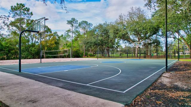 17740 ESPRIT DRIVE, Tampa, FL 33647