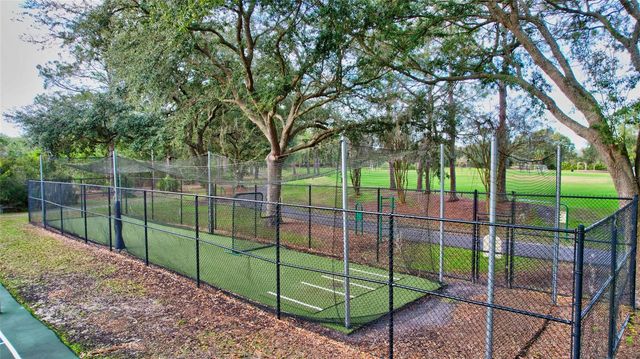 17740 ESPRIT DRIVE, Tampa, FL 33647