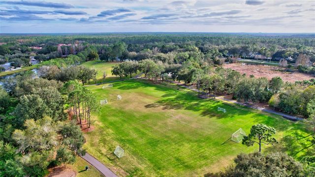 17740 ESPRIT DRIVE, Tampa, FL 33647