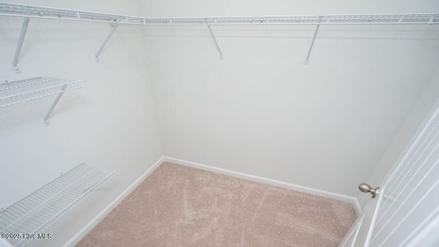 1022 Pampas Grass Drive Lot 328, Castle Hayne, NC 28429