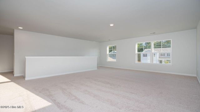 1022 Pampas Grass Drive Lot 328, Castle Hayne, NC 28429
