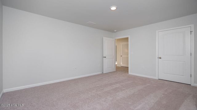 1022 Pampas Grass Drive Lot 328, Castle Hayne, NC 28429