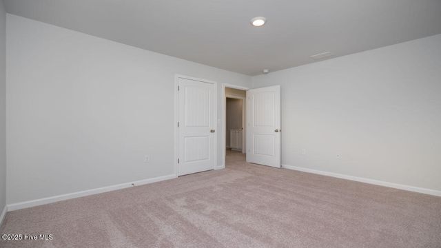 1022 Pampas Grass Drive Lot 328, Castle Hayne, NC 28429