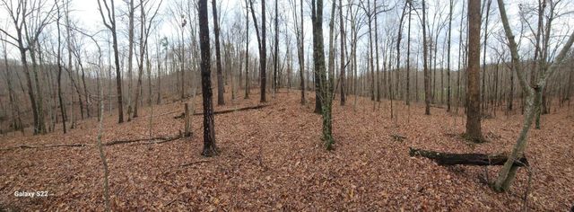 3504 East Fork Road, Means, KY 40346