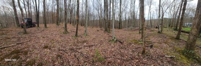 3504 East Fork Road, Means, KY 40346