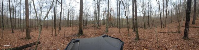 3504 East Fork Road, Means, KY 40346