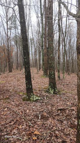 3504 East Fork Road, Means, KY 40346