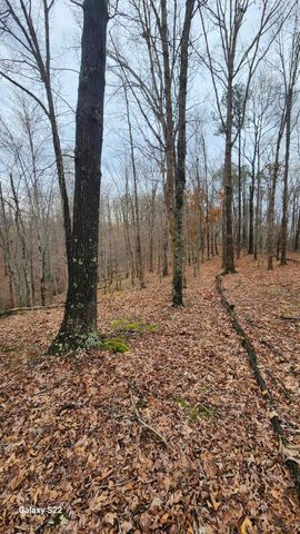 3504 East Fork Road, Means, KY 40346