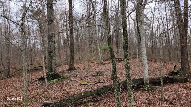 3504 East Fork Road, Means, KY 40346