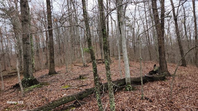 3504 East Fork Road, Means, KY 40346