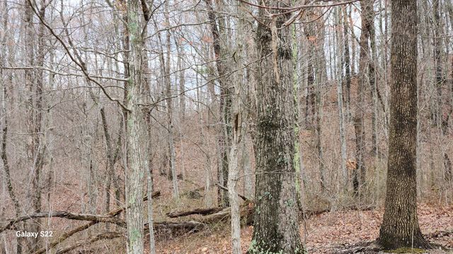 3504 East Fork Road, Means, KY 40346