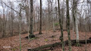 3504 East Fork Road, Means, KY 40346